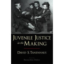 Juvenile Justice in the Making Studies in Crime and Public Policy