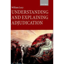 Understanding and Explaining Adjudication