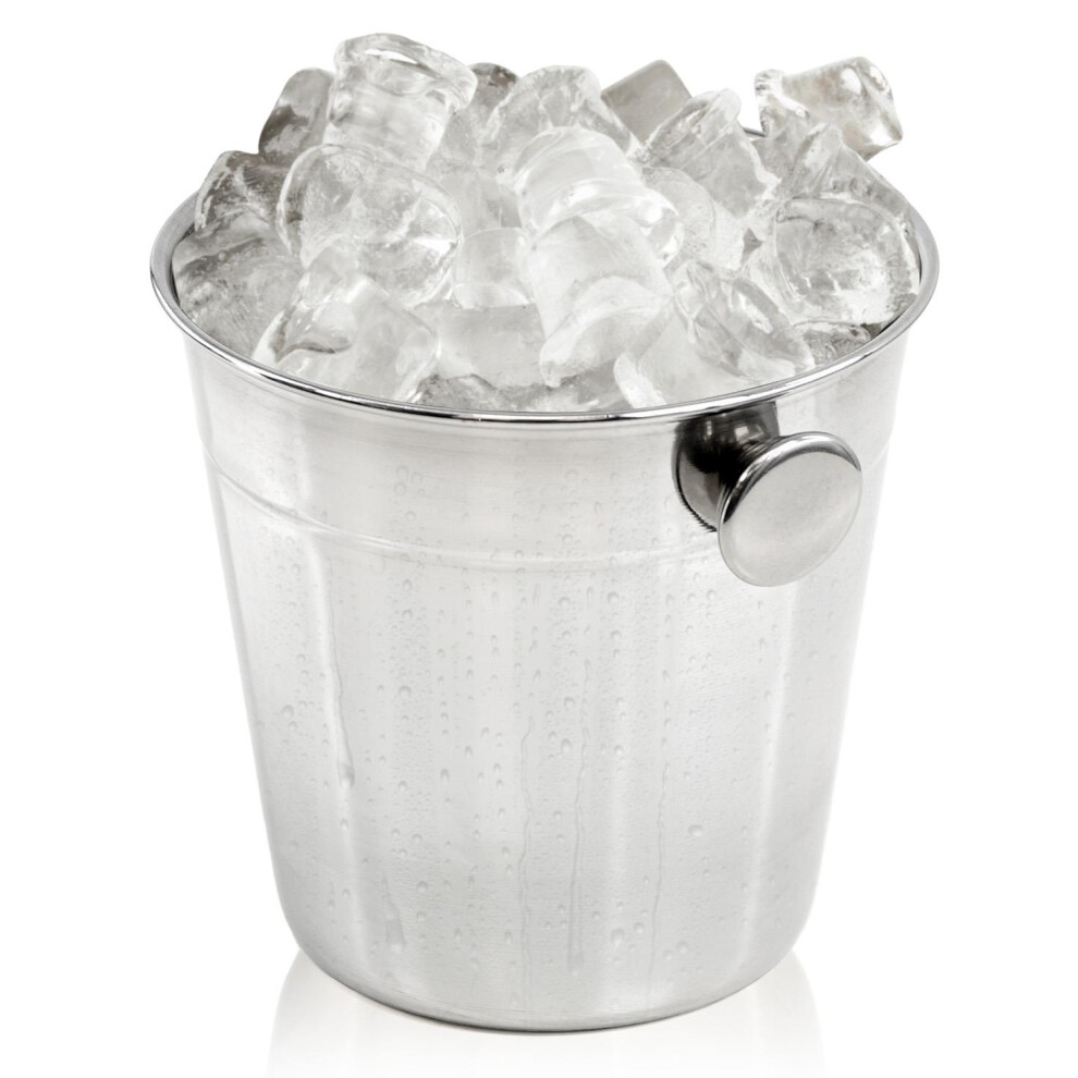 GEEZY Stainless Steel Mini Ice Bucket Kitchen Bar Ice Cube Serving Bucket with Handle