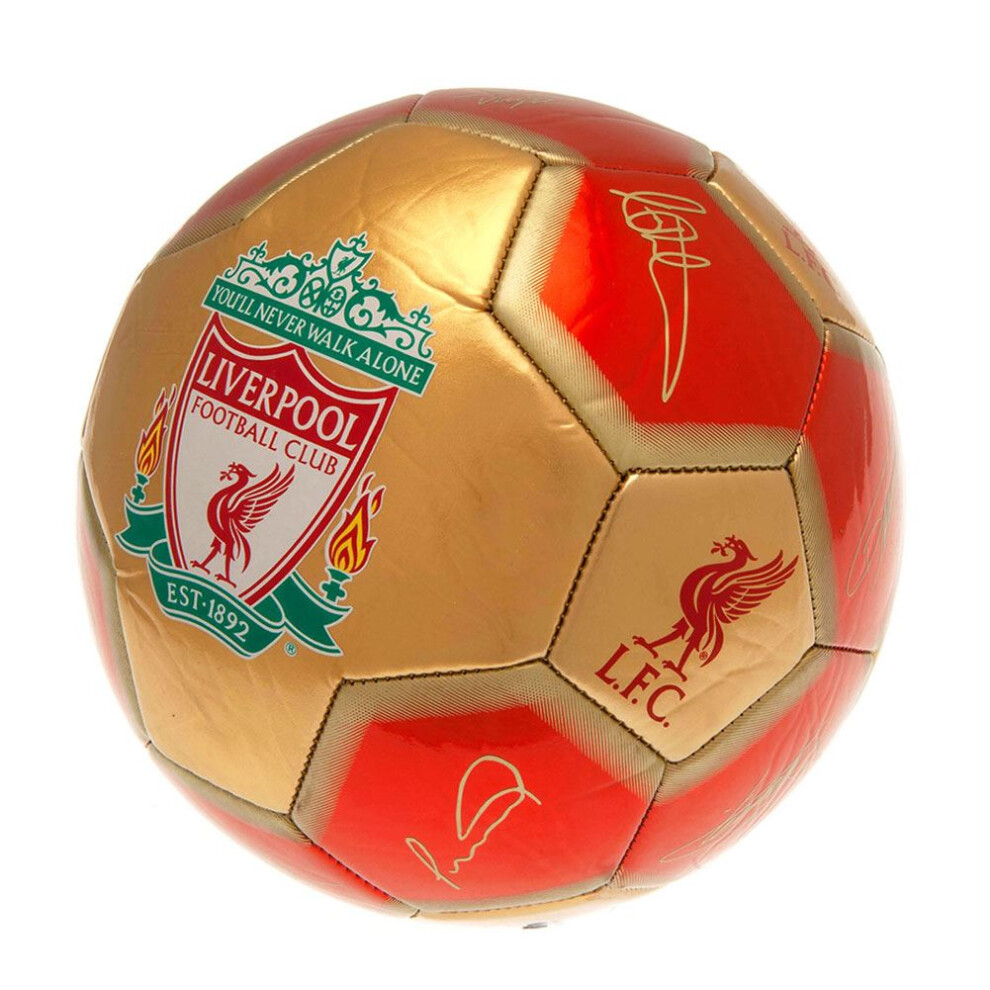 Liverpool FC Signature Skill Ball