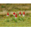 FALLER Primroses (32) HO Gauge Scenics 181267 1