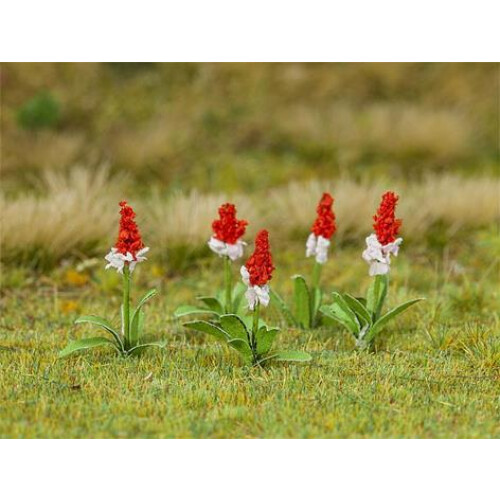 FALLER Primroses (32) HO Gauge Scenics 181267