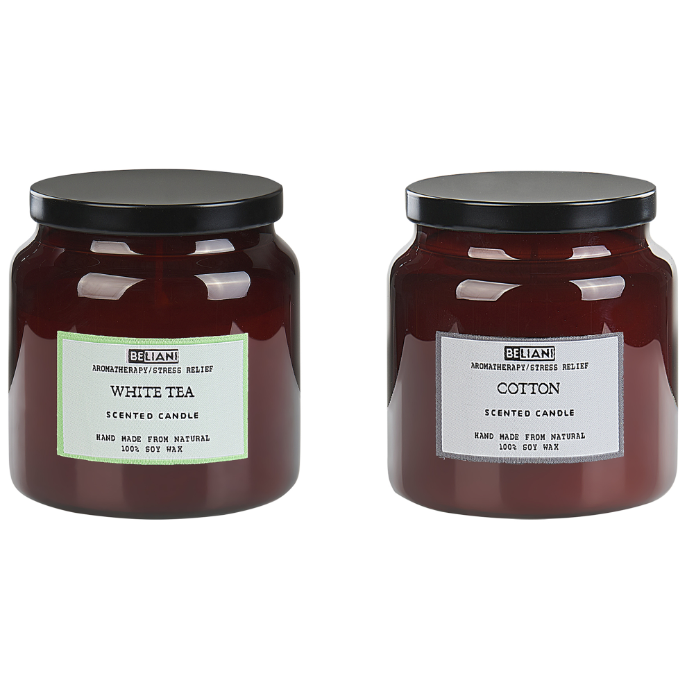 Set of 2 Scented Candles ABSOLUTE ALCHEMY Soy Wax Fresh Notes