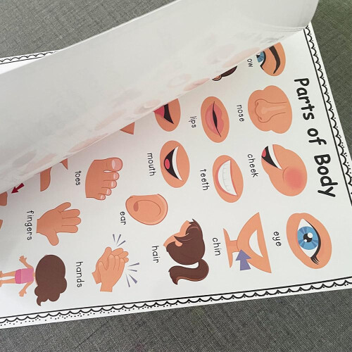 2Pcs A4 Human Body Educational Learning Posters Body Parts Learning Wall Chart For Kids Cartoon Anatomy Chart Educational Poster Preschool Kindergarte 309552263