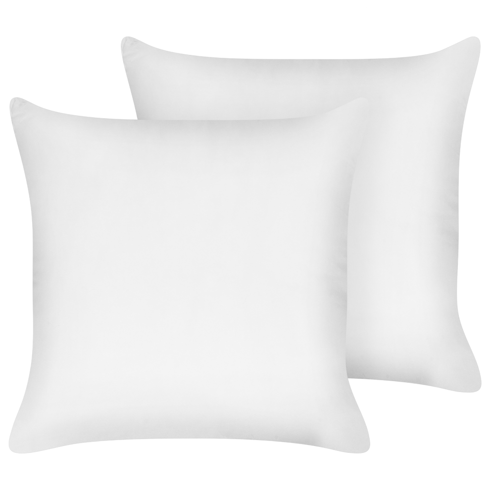 Set of 2 Pillows TRIGLAV Low Polyester 80 x 80 cm White