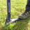 Spear & Jackson Spear & Jackson 4854WP Mechanical Weed Puller 5
