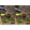 Ryobi RYOBI RY18CVA-0 18V ONE+ Καλλιεργητής κήπου μπαταρίας (γυμνό εργαλείο), Hyper Green 5