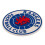 Power Rangers Rangers FC 3D Fridge Magnet 2