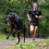 (6) Non-Stop Dogwear Freemotion Harness, Black 4
