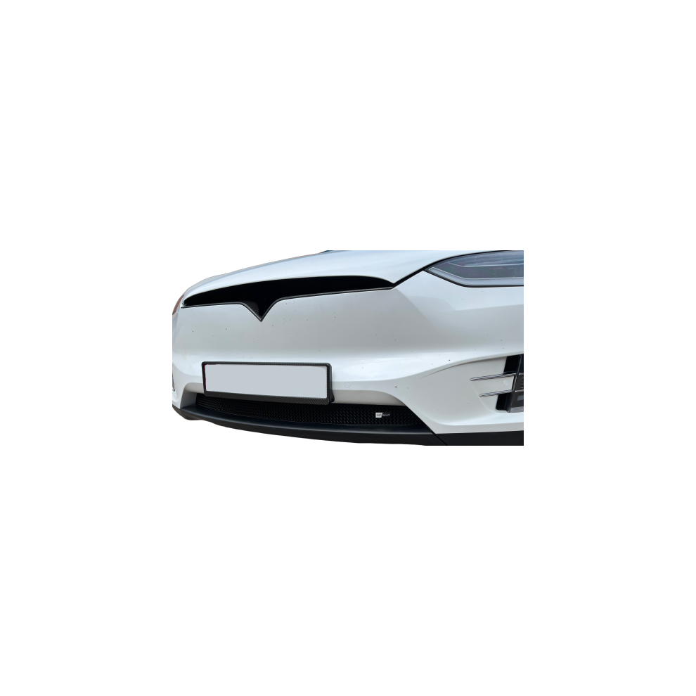 Tesla Model X - Lower Grille (2016 -) 5060468078480