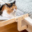 Hangmat voor Katten Hamacat InnovaGoods 6