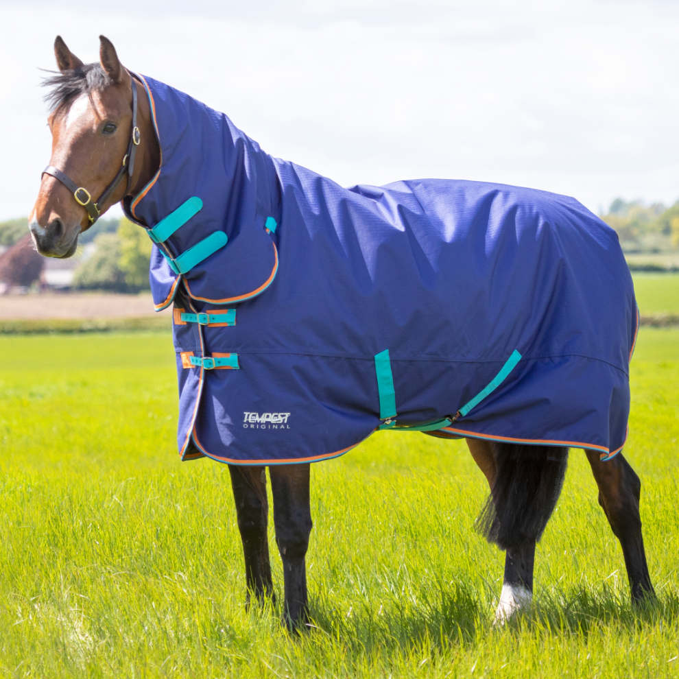 (Navy Blue, 6'0) Shires Tempest Original 100g Turnout Combo Rug