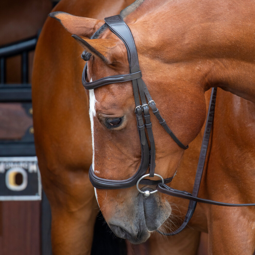 (Havana, Full) Shires Velociti RAPIDA Ergonomic Curved Cavesson Bridle
