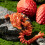 Surprise Dragon Egg Articulating Gemstone Dragon Toy - 3D Printed Dragons 4