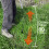 Upgraded Grass Whip With Double-Edged Serrated Sharp Steel Blade Weed Grass Cutter 2