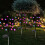 1pc Outdoor Solar Cherry Blossom Tree Lights, 20 LEDs Waterproof Solar Garden Decorative Lights 3