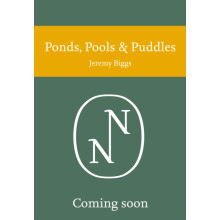 Ponds Pools and Puddles by Penny Williams