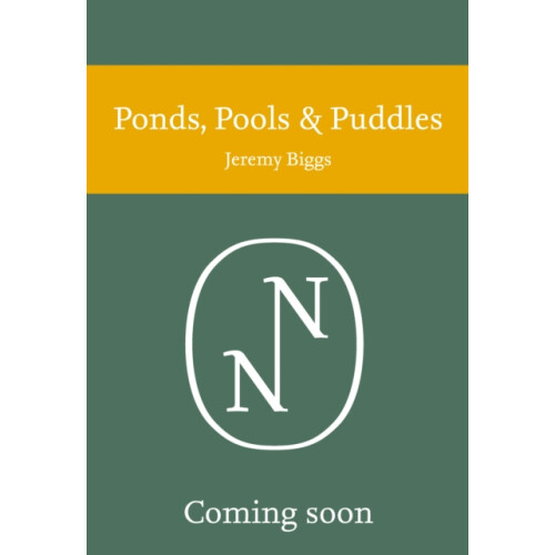 Ponds Pools and Puddles by Penny Williams