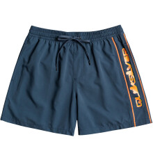 (16 Yrs, Midnight Navy) Quiksilver Boys Kids Everyday Vert 14" Summer Swim Swimming Boardshorts