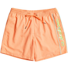 (16 Yrs, Fresh Salmon) Quiksilver Boys Kids Everyday Vert 14" Summer Swim Swimming Boardshorts