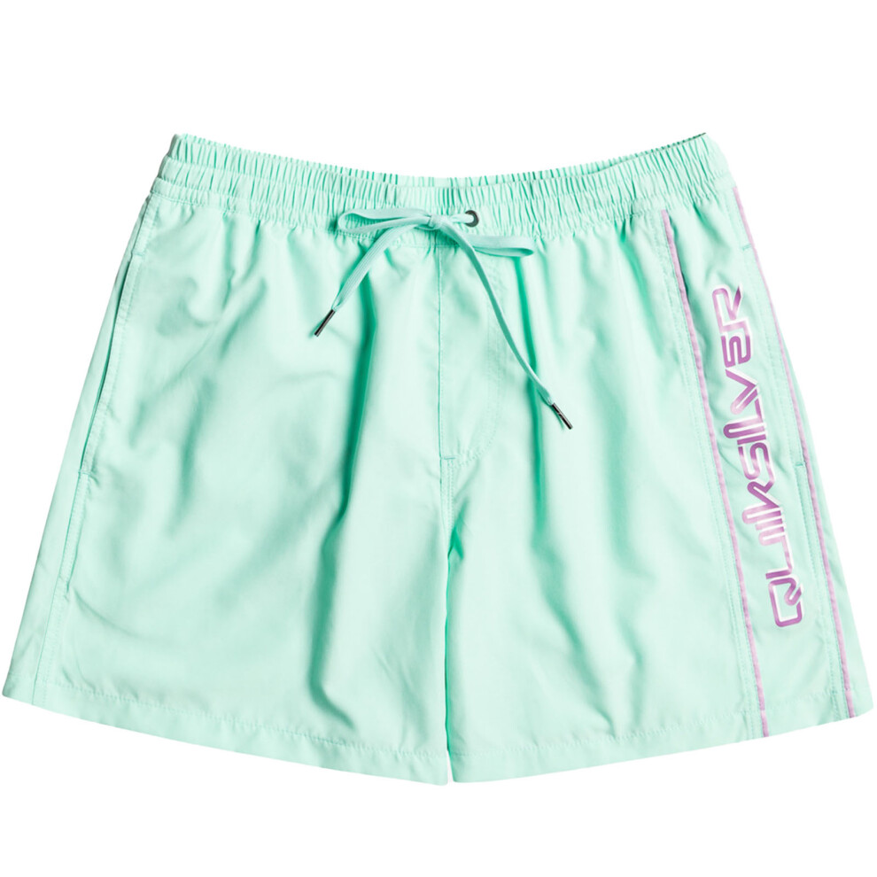 (16 Yrs, Beach Glass) Quiksilver Boys Kids Everyday Vert 14" Summer Swim Swimming Boardshorts