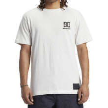 (M, Snow Heather) DC Shoes Mens Star Wars Ahsoka Tano Short Sleeve T-Shirt Top Tee - Snow Heather