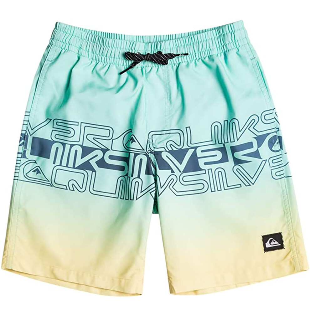 (8 Yrs, Blue Green) Quiksilver Boys Kids Everyday Wordblock 16" Summer Swim Swimming Boardshorts