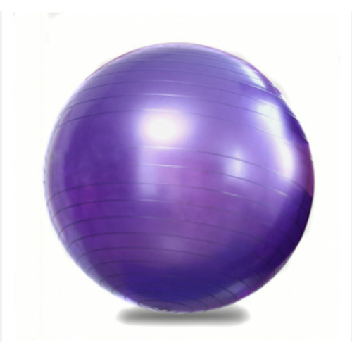 55Cm Yoga Ball Home Fitness Pilates Gym Exercise Workout