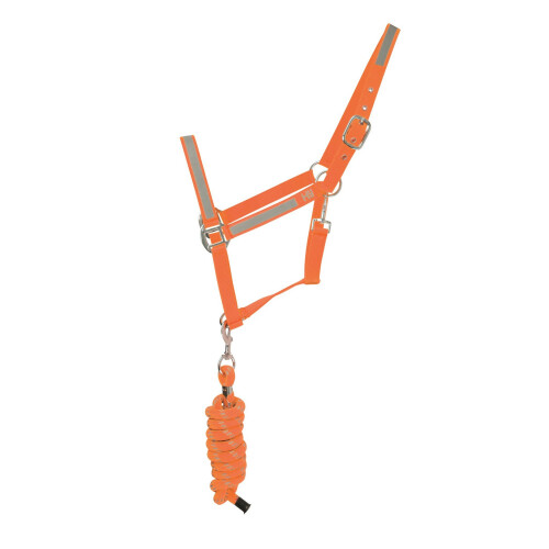 (Full, Orange) HyVIZ Reflector Head Collar and Lead Rope