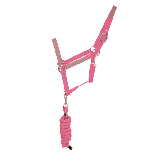 (Cob, Pink) HyVIZ Reflector Head Collar and Lead Rope