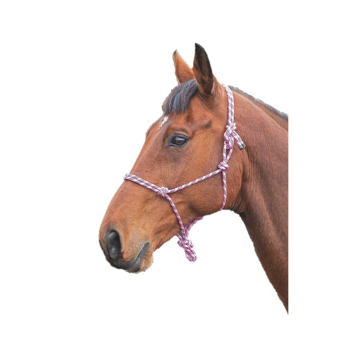 (One Size, Pink/Black) Shires Rope Horse Headcollar