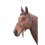 (One Size, Black/White) Shires Rope Horse Headcollar 1