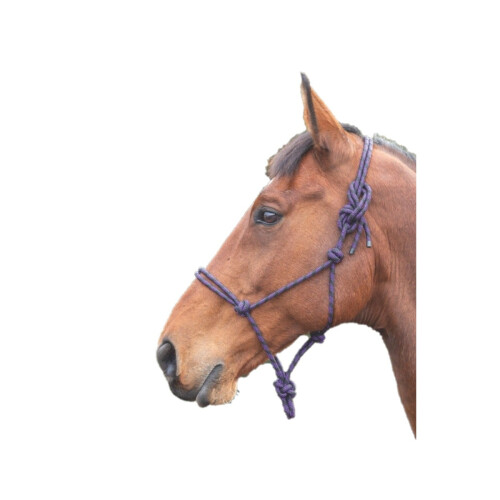 (One Size, Purple/Black) Shires Rope Horse Headcollar