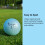 Trust Aurora Blue,Crystal Urethane Covered, Reactive Core, 3 Piece Golf Ball, Soft & Elasticity Feel, Distance with Greenside Control (One Dozen) 5