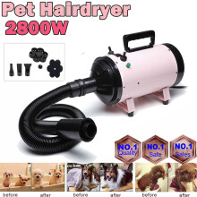 2800W Pet Hair Dryer Blower Grooming Dryer with Heat Speed Adjustable Three Nozzles One Hose