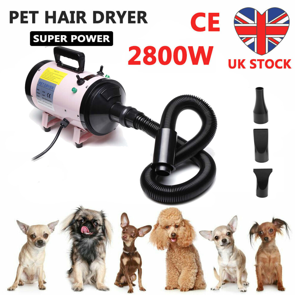 Professional Pet Grooming Hair Dryer 2800W Salon Blow Hairdryer Noise Reduction Quick Dry Heat Speed Adjustable