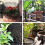 6.5ft Cat Scat Mat with Spikes - Outdoor Spike Deterrent to Stop Digging 5