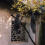 1/2X Realistic Hanging Dead Crow Decoy Lifesize Extra Large Black Feathered Crow 2