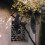 1/2X Realistic Hanging Dead Crow Decoy Lifesize Extra Large Black Feathered Crow 7