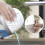 Unibond UniBond AERO 360º Moisture Absorber Ultra-Absorbent Dehumidifier Helps to Prevent Condensation Mould & Musty Smells 1 Device incl.1 Refill Tab 450g 3