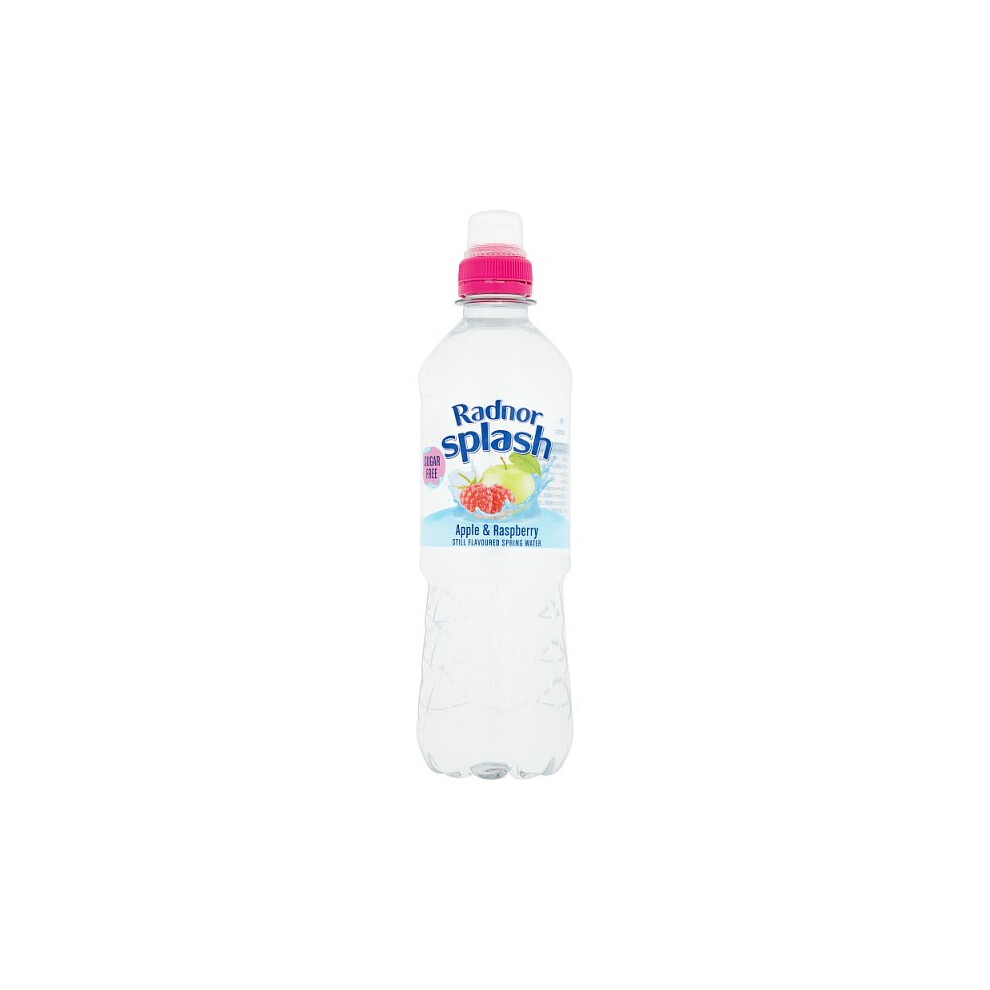 Radnor Hills Radnor Splash Apple & Raspberry Sugar Free Flavoured Water 500Ml (Case Of 12)