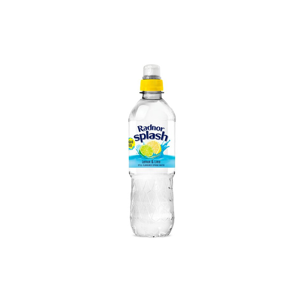 Radnor Hills Radnor Splash Lemon & Lime Sugar Free Flavoured Water 500Ml (Case Of 12)