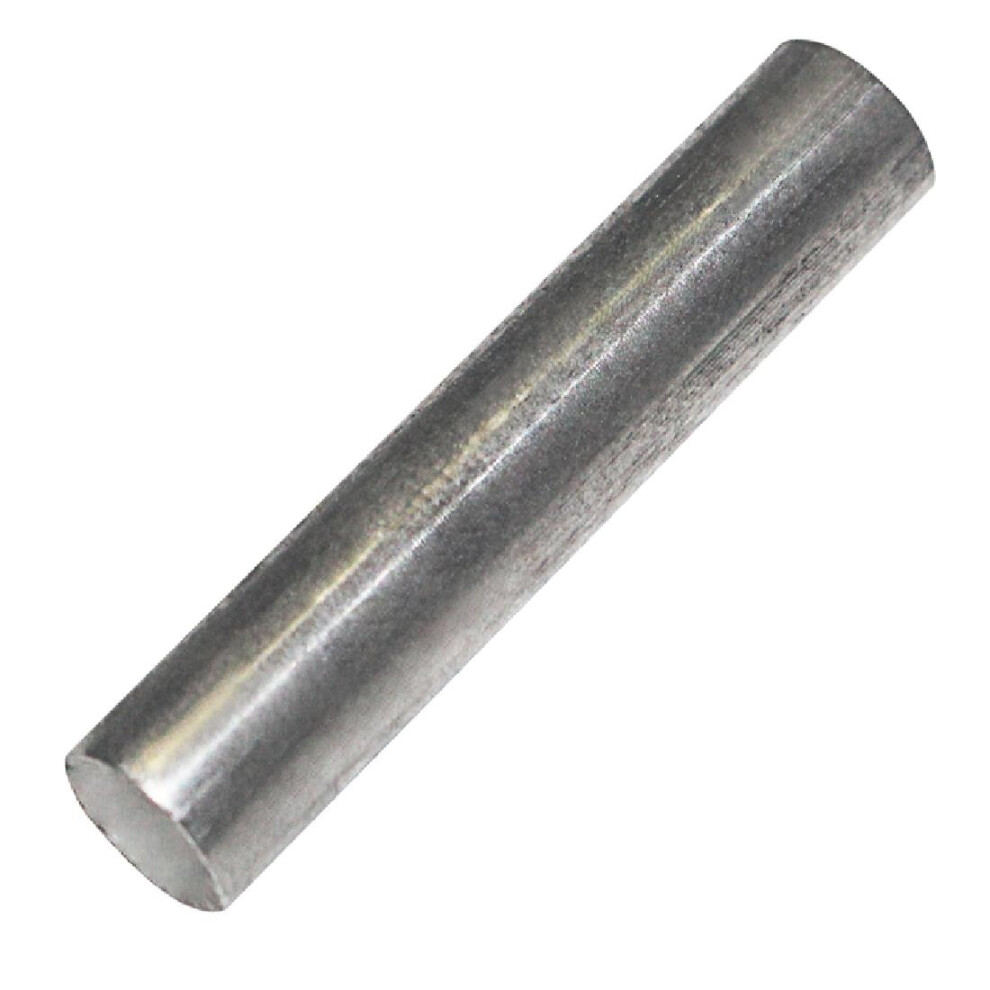 Polar Lower Door Shaft Pin