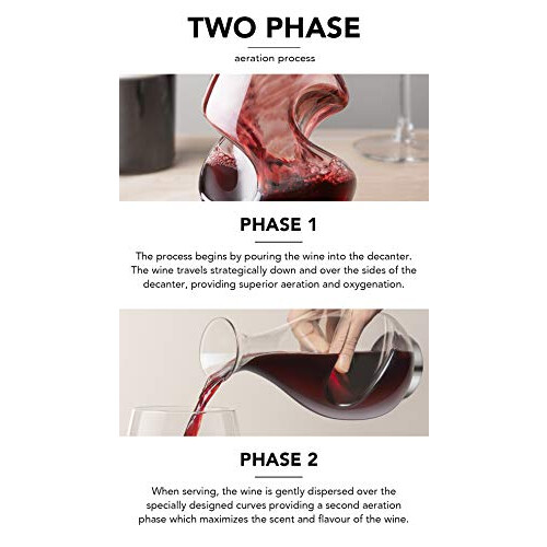 Final Touch Conundrum Wine Aerator Decanter Drinking Gift, Clear,375ml 2