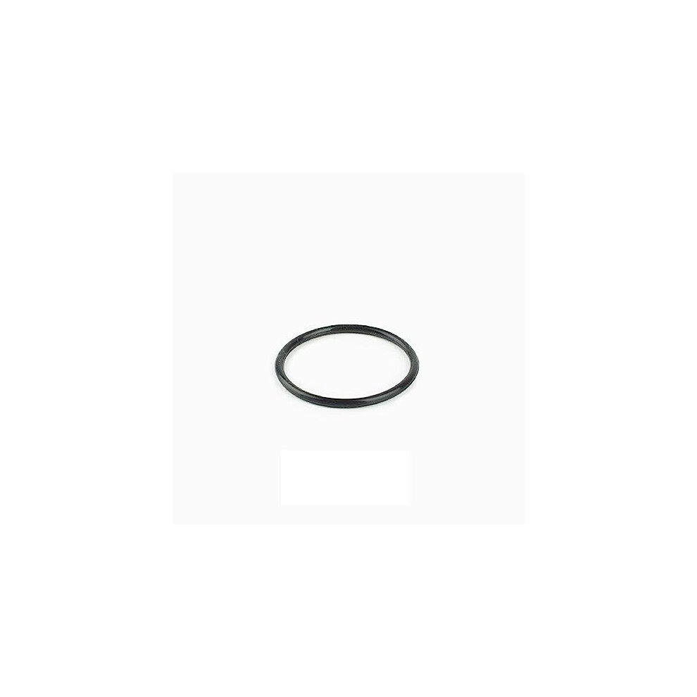 Blagdon Inpond LED Bulb O Ring, Replacement LED Bulb 'O' Ring For The Inpond 5 In 1 3000, Inpond 5 In 1 6000 And Inpond 6 In 1 9000