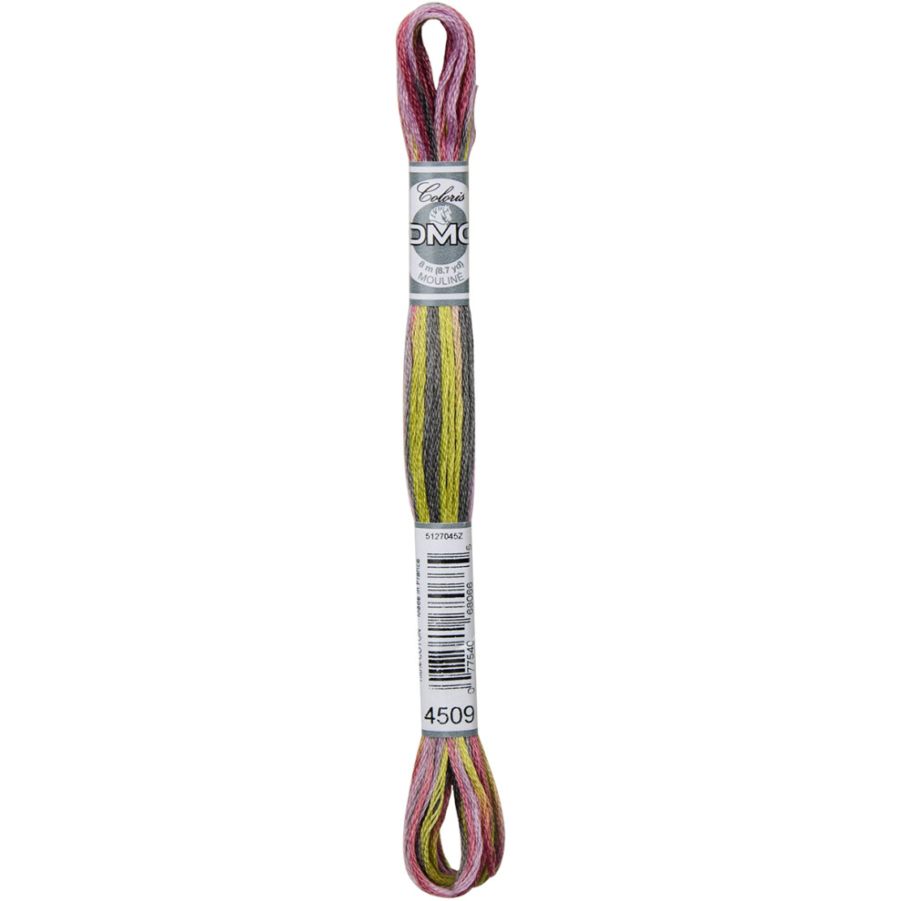 Dmc Coloris 6-Strand Embroidery Cotton Floss 8.7Yd-Granite Coast 517-4509