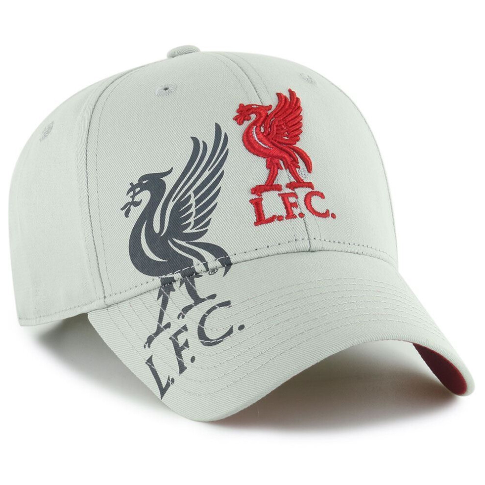 Liverpool Fc Obsidian Cap Grey
