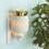 Plug In Wax Warmer - Pineapple 1
