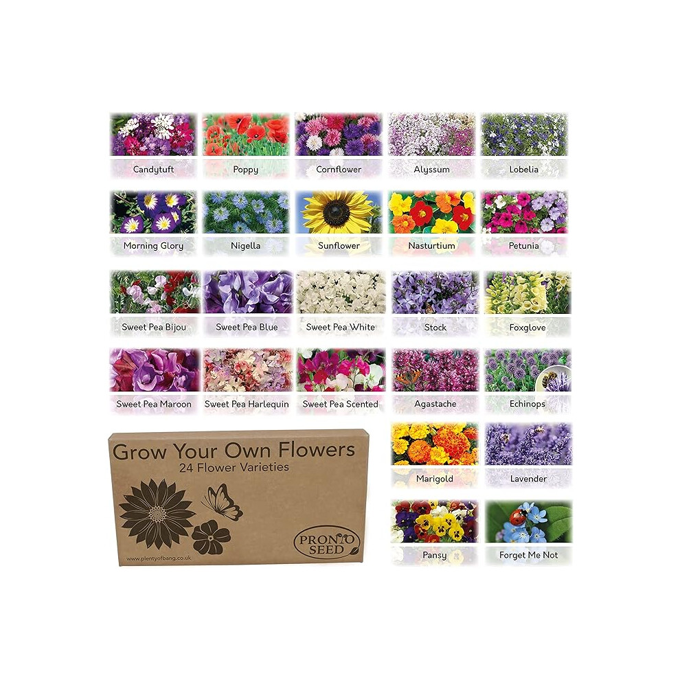 Pronto Seed Flower Bumper Pack for Planting Now Grow Your Own Kit Containing 24 Different Varieties of Flowers Gardening Gifts Women & Men