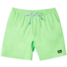 (XXL, Green Gecko) Quiksilver Mens Everyday 15" Elasticated Waist Swim Swimming Shorts